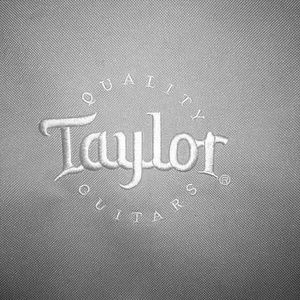 Taylor Guitar Case